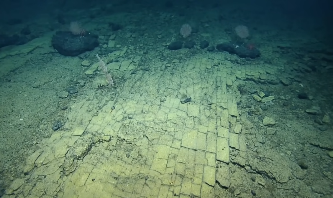 (Видео) МИСТЕРИЈАТА на „ПАТОТ СО ЖОЛТИ ТУЛИ“ - Колку малку знаеме за океанот!