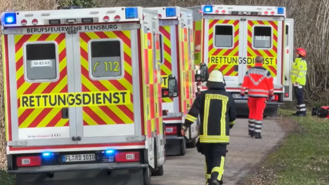 ТРАГЕДИЈА НА ВЕЛИГДЕН - Дрво падна врз група луѓе, мајка и бебе меѓу загинатите!