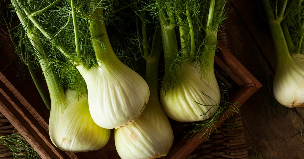 Коморач: Најдобриот (и често занемарен) сојузник на вашиот метаболизам