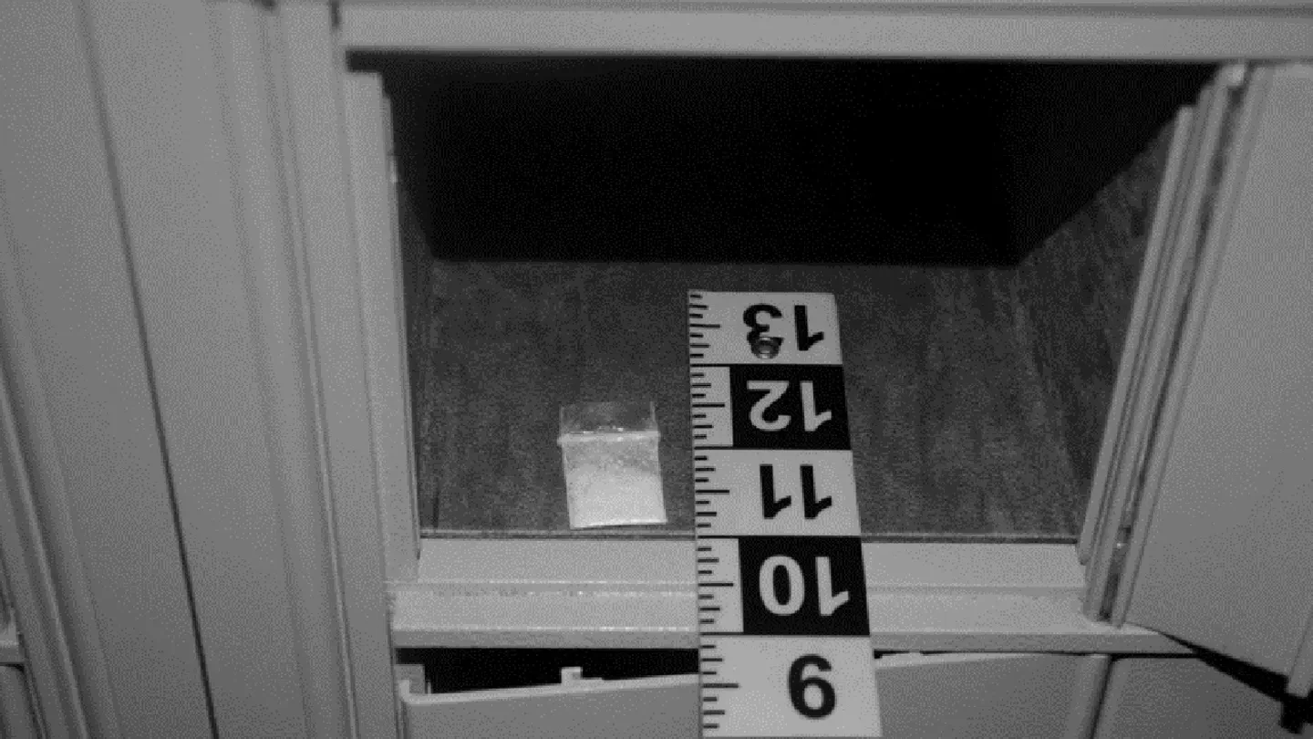 Тајната служба претходно ја истражуваше кесата со кокаин пронајдена во Белата куќа. (Тајна служба на САД)