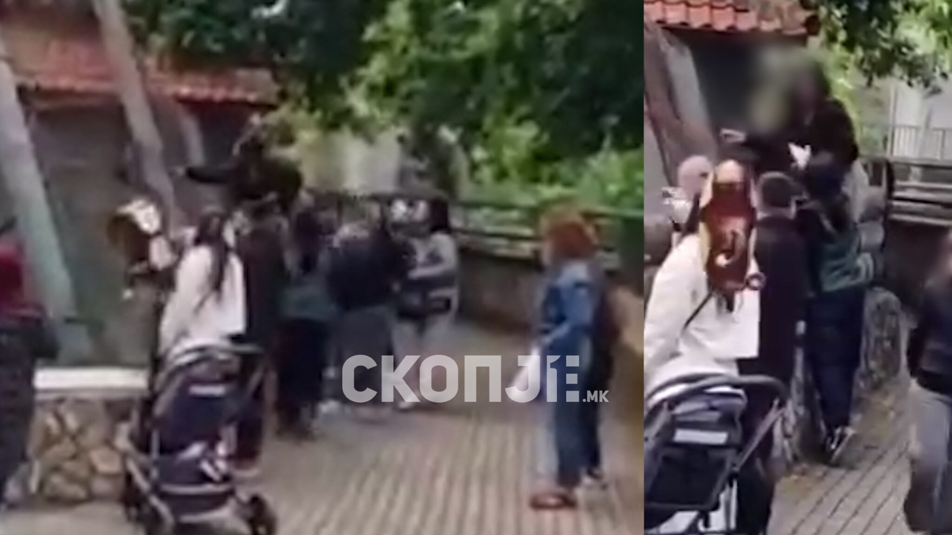 (ВИДЕО) РАДОСТ ЗА МАЈМУНИ ВО СКОПЈЕ ЗОО