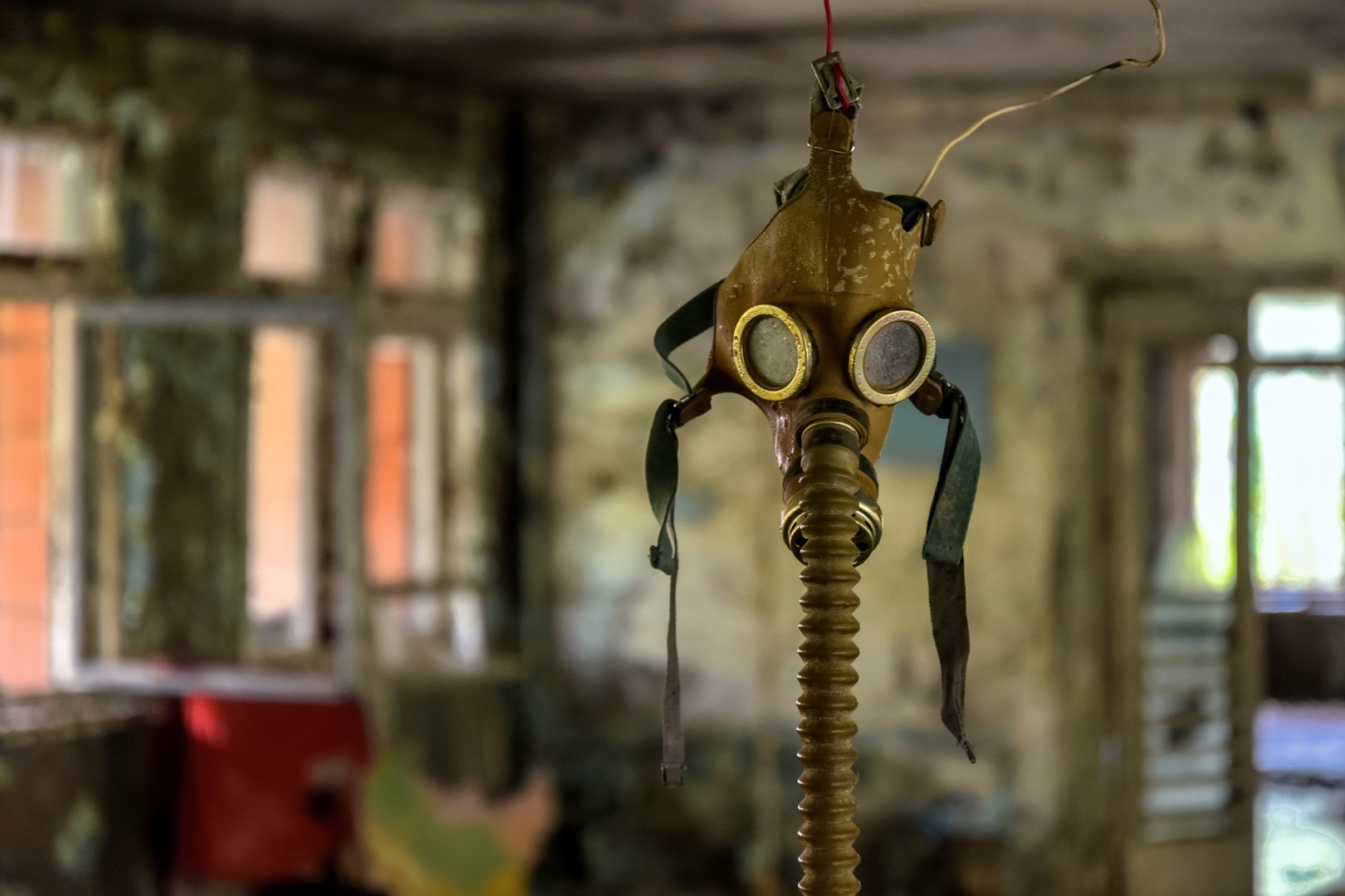 ПОСТОЈАТ ЛИ МУТАНТИ во ЧЕРНОБИЛ? Неверојатно тврдење на белоруски научник