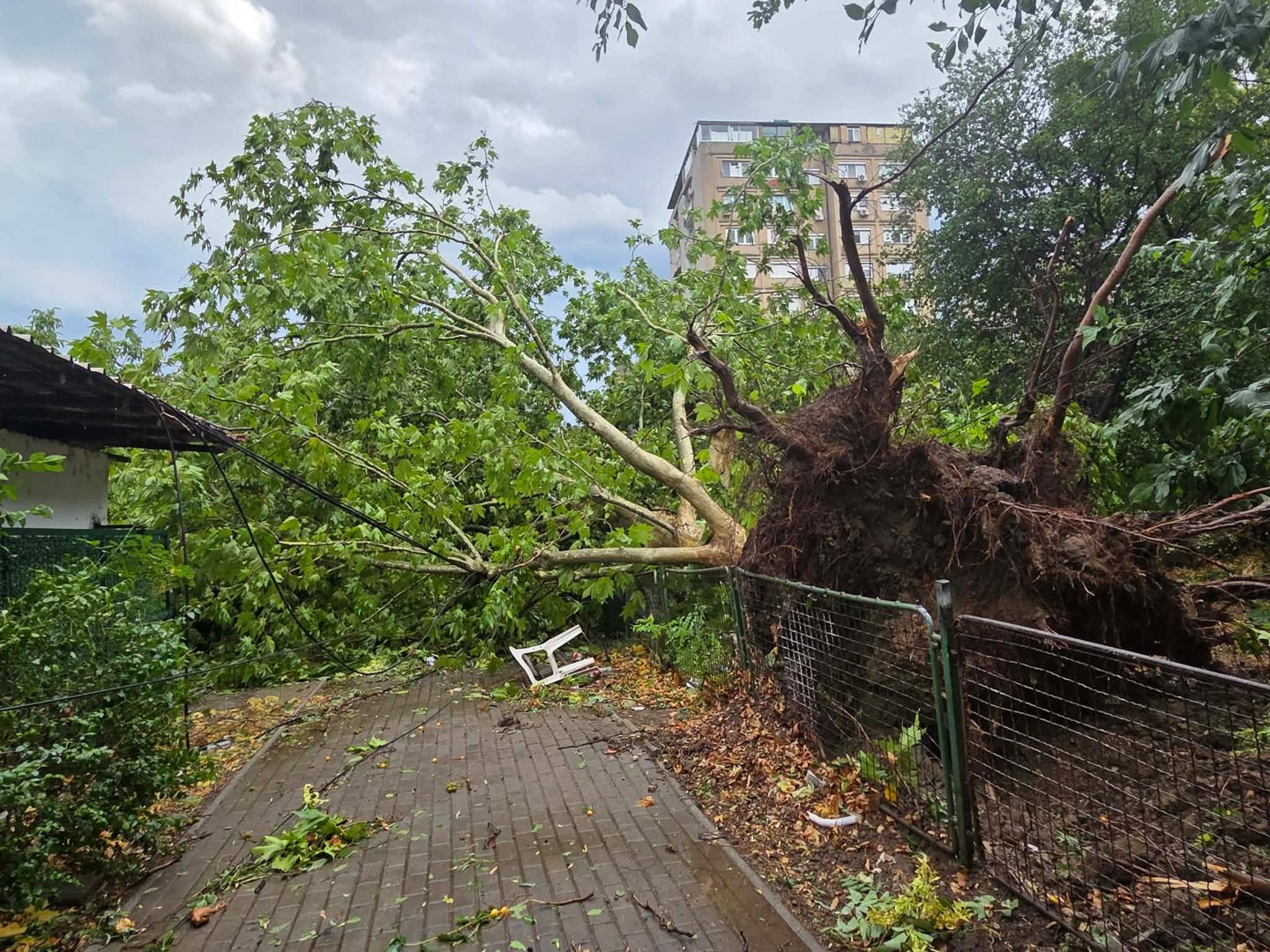 15 ПОВРЕДЕНИ ВО НЕВРЕМЕТО ВО СКОПЈЕ, примени се во две клиники