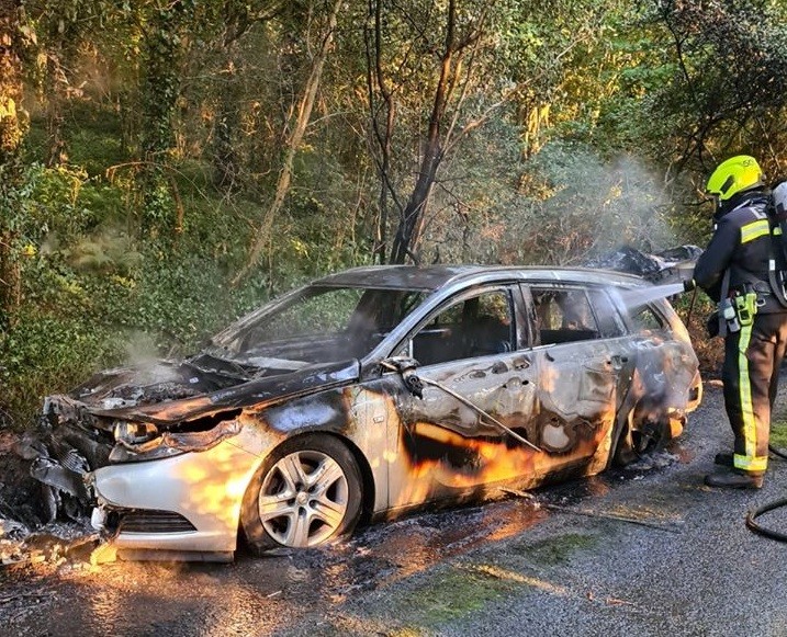 Автомобил целосно изгоре во Скопје – пожарот зафатил уште две возила