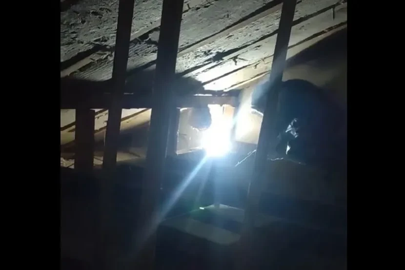 (ВИДЕО) ГЛЕТКА КАКО ОД ХОРОР ФИЛM: Познатиот змијоловец мораше да облече специјално одело поради тоа што го најде на еден таван!