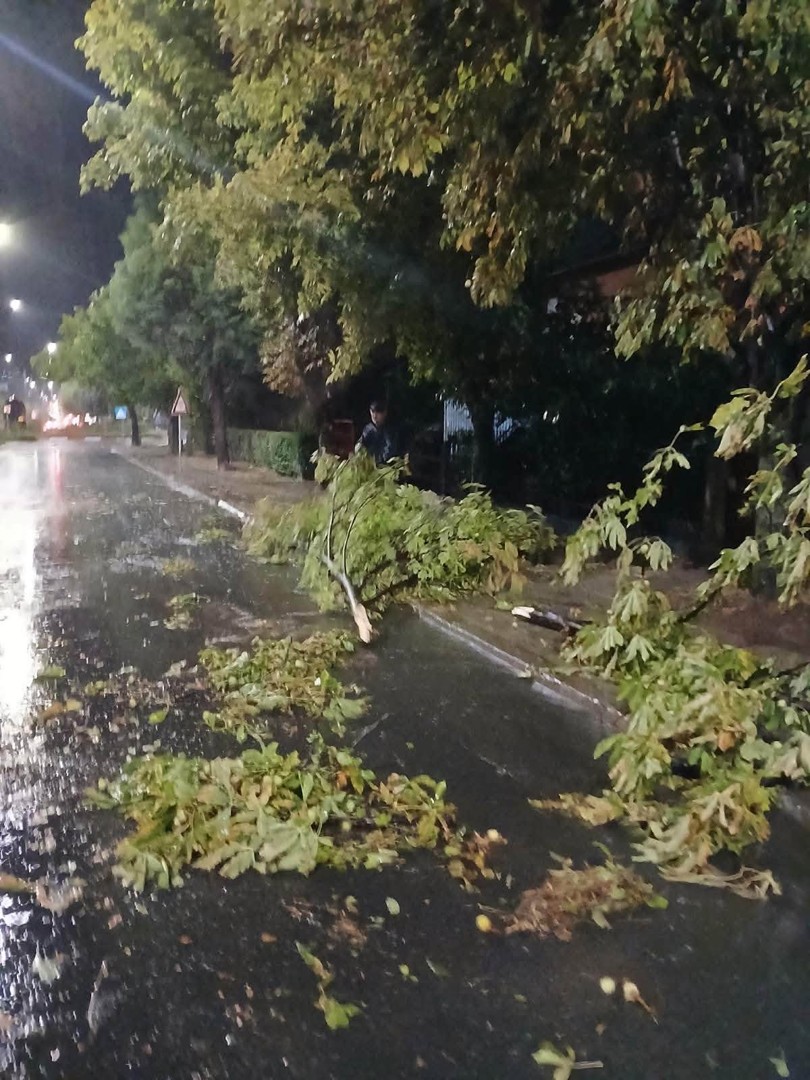Кавадарци погодено од силно невреме: Општината ги крена сите служби на терен, се санираат последиците