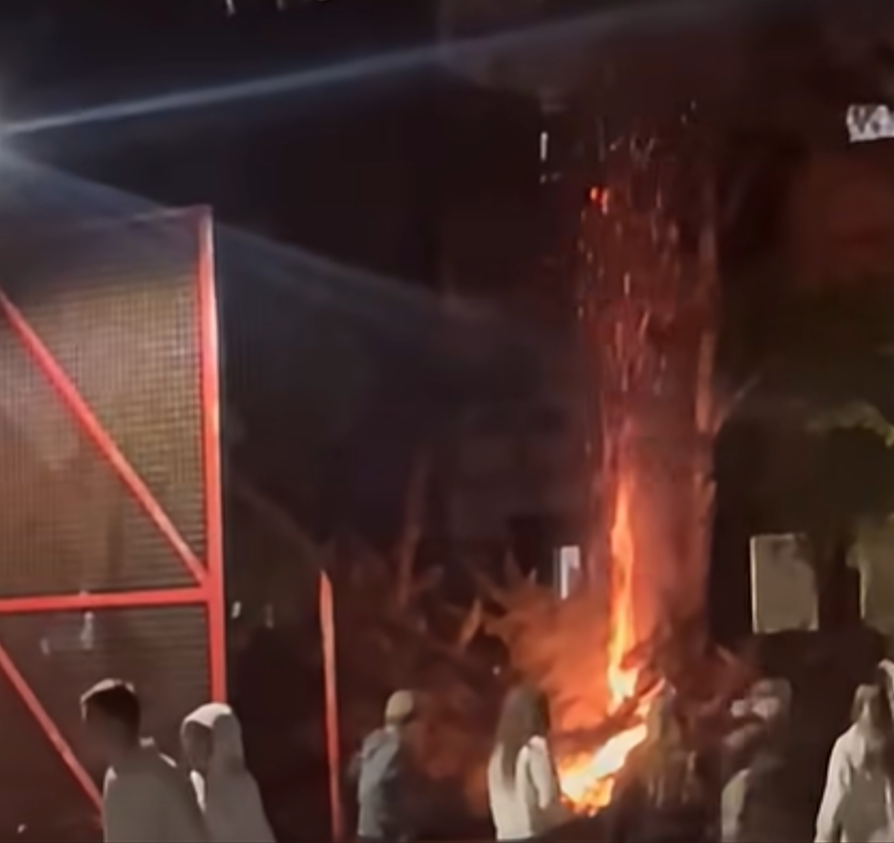 (ВИДЕО) ШТО СЕ СЛУЧУВА СО МАЛОЛЕТНИЦИТЕ ВО МАКЕДОНИЈА? - Пукале петарди па предизвикале пожар!
