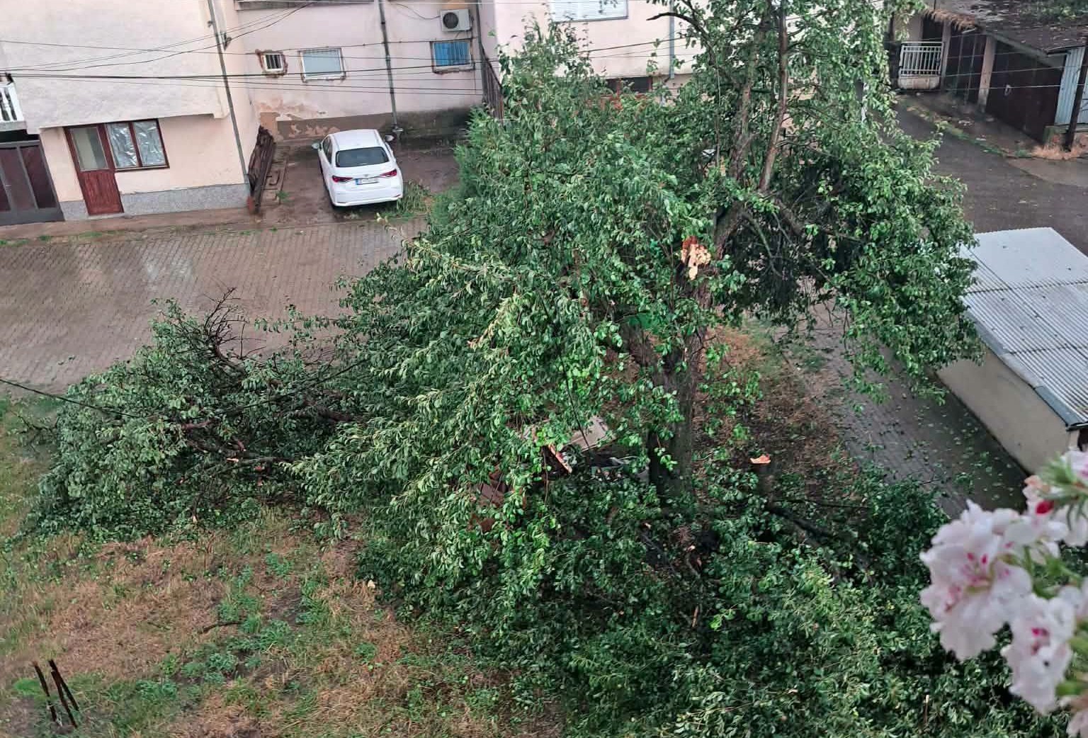 (ВИДЕО) Хаос во Делчево по силното невреме – дел од жителите евакуирани, кров летна на улица