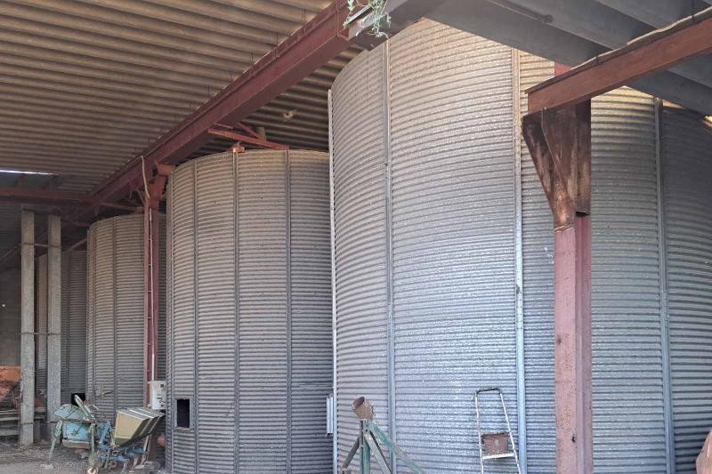 Вознемирувачки подготовки на северот на Европа: Храна за кризи, огромни засолништа и земјиште за илјадници гробови
