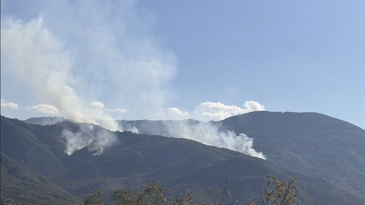 НОВ ПОЖАР ВО МАКЕДОНИЈА: Огнена стихија избувна над село Вражале - Ангелов со важна порака!