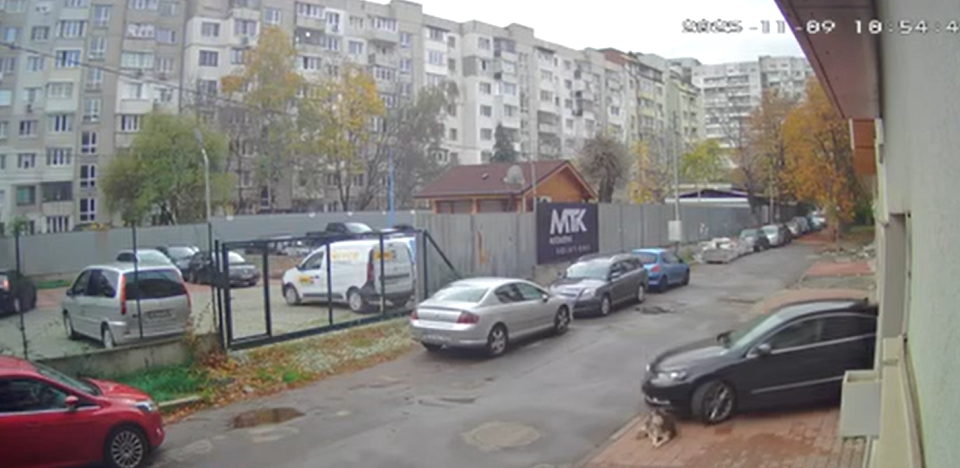 (ВИДЕО) Македонски лекар прегази куче и продолжи да вози преку него!