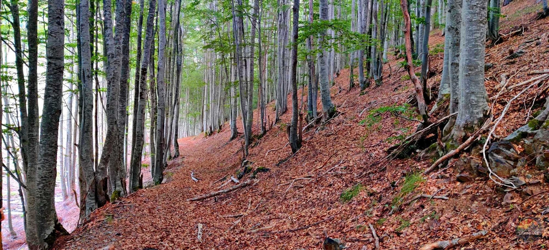 МАКЕДОНИЈА ДОБИВА МЕГА-ПАТЕКА! 2.070 км планинарска рута што ја менува картата на туризмот